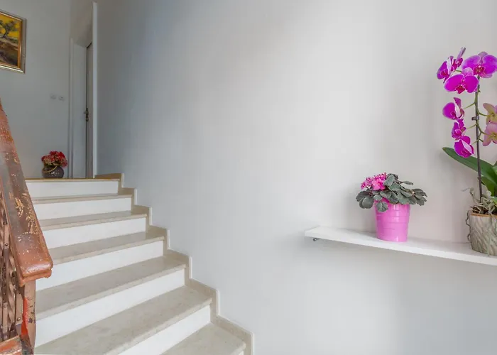 Premium Aria * 波雷奇